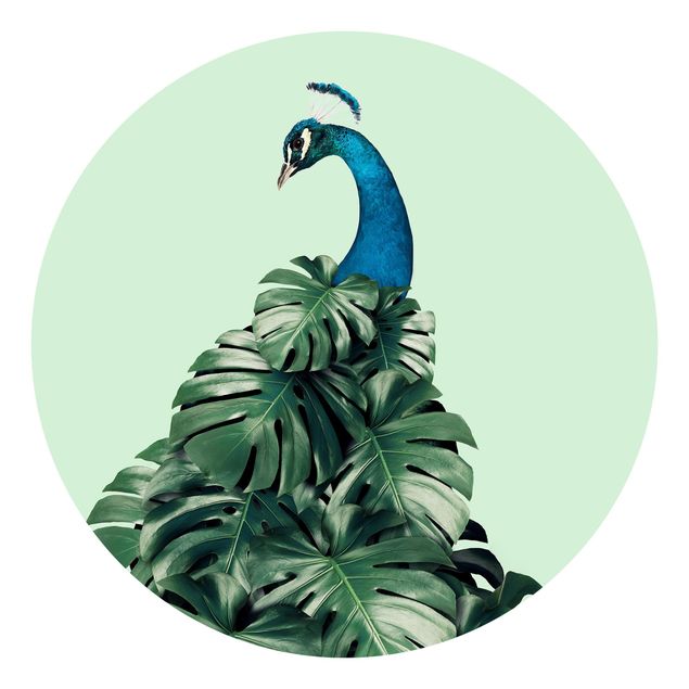 Moderne tapet Peacock With Monstera Leaves