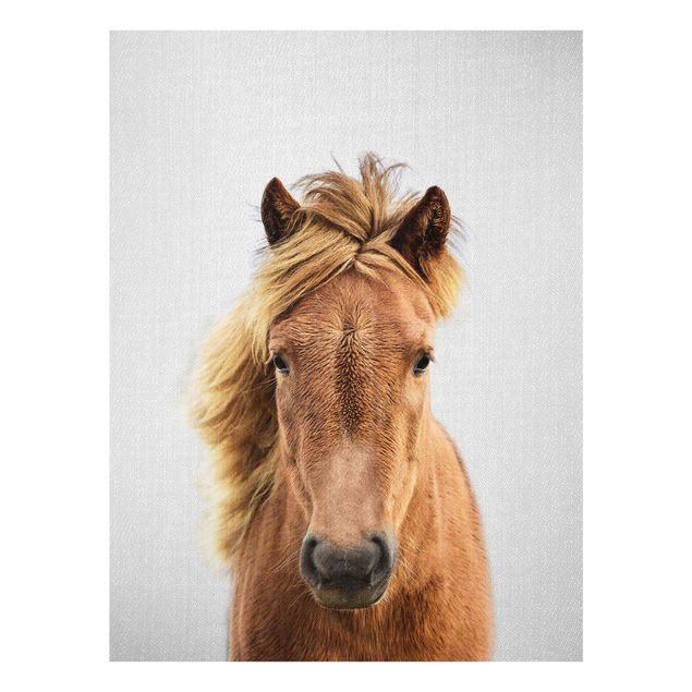 Billeder moderne Horse Pauline