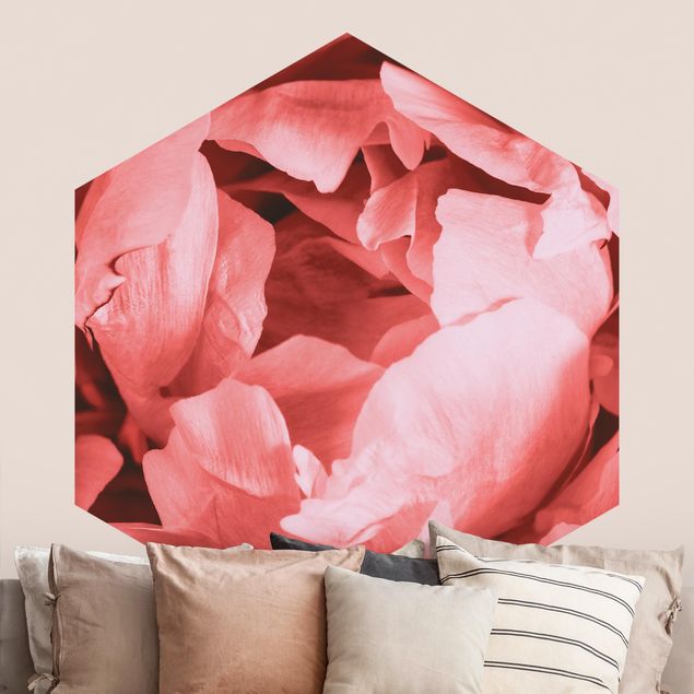 Tapet roser Peony Blossom Coral