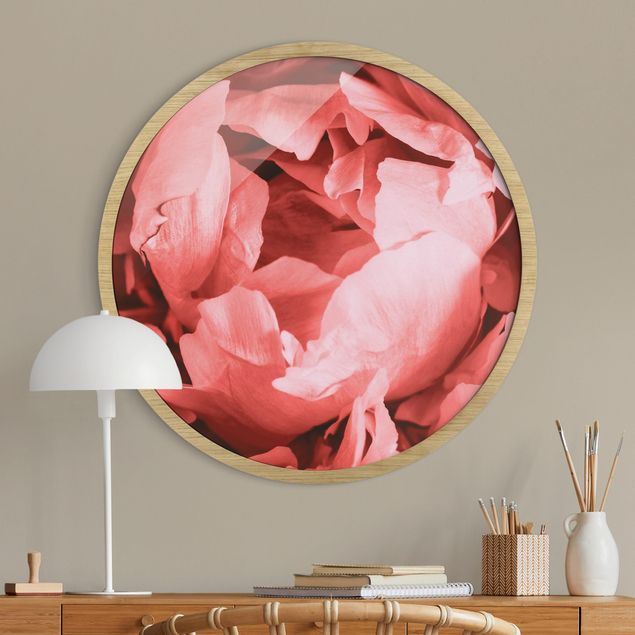 Indrammede plakater blomster Peony Blossom Coral