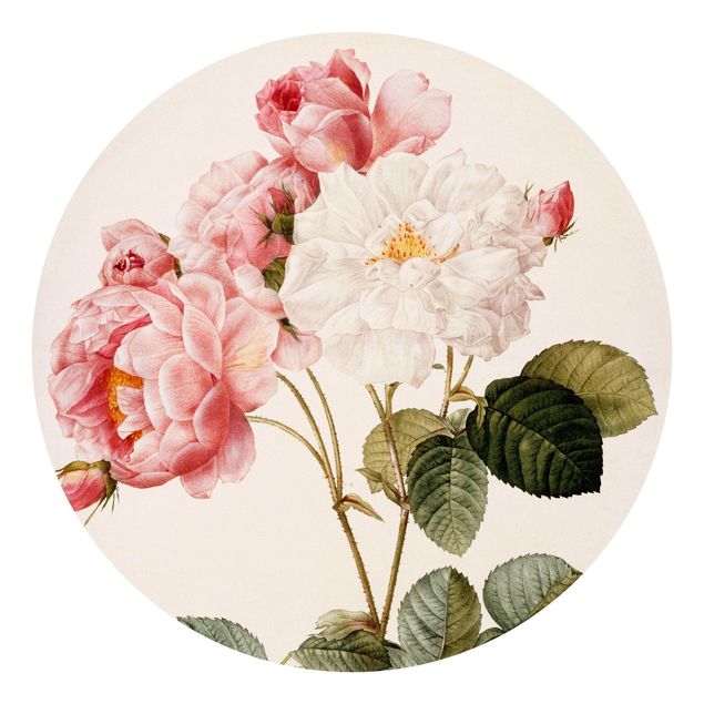 Fototapet blomster Pierre Joseph Redoute - Pink Damascena