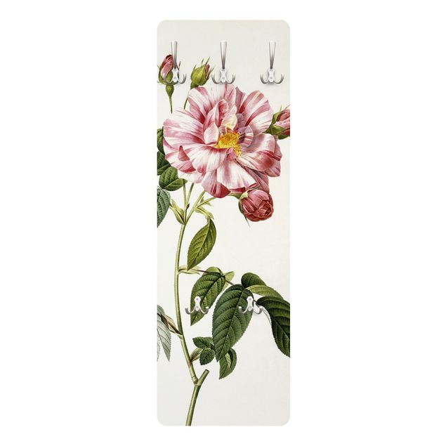 Knagerækker vintage Pierre Joseph Redoute - Pink Gallica Rose