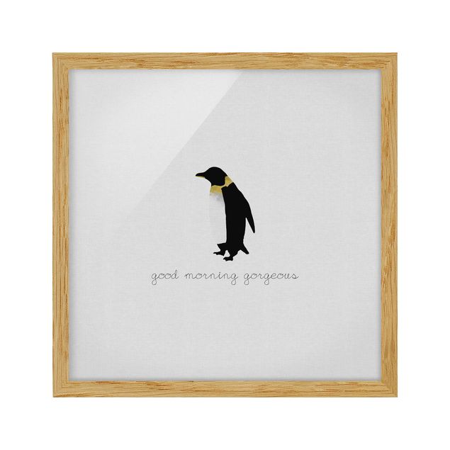Billeder sort og hvid Penguin Quote Good Morning Gorgeous