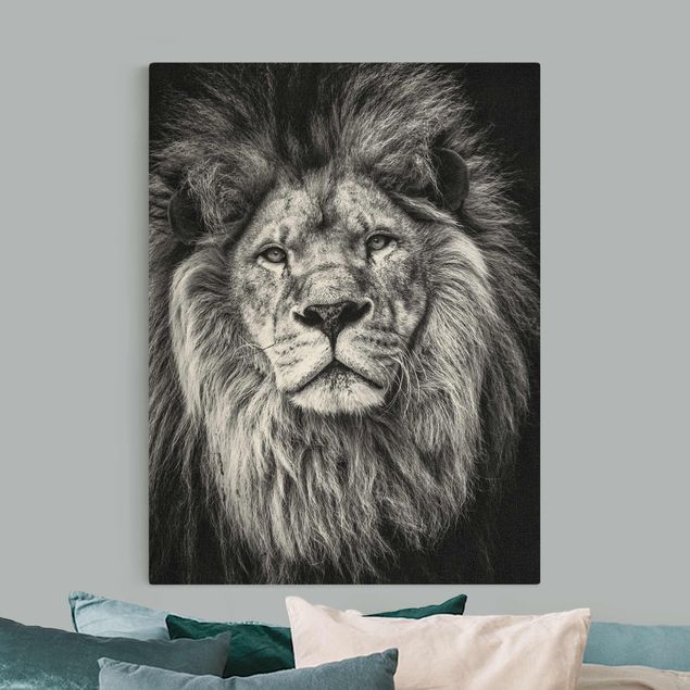 Billeder lions Portrait Lion Black And White