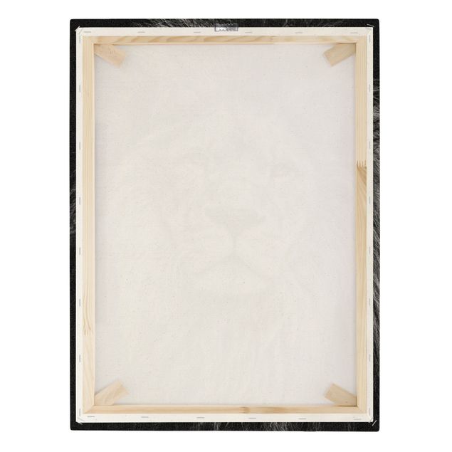 Lærredsbilleder Portrait Lion Black And White