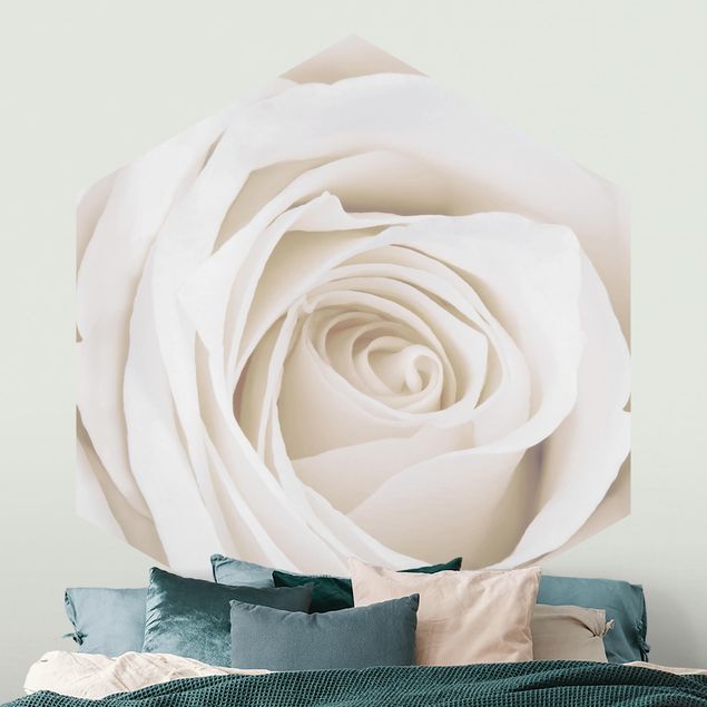 Tapet roser Pretty White Rose