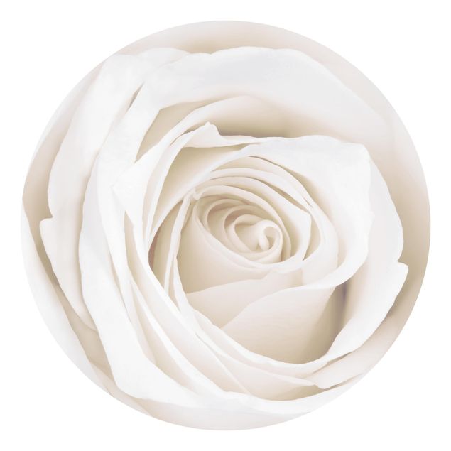 Tapet landlig Pretty White Rose
