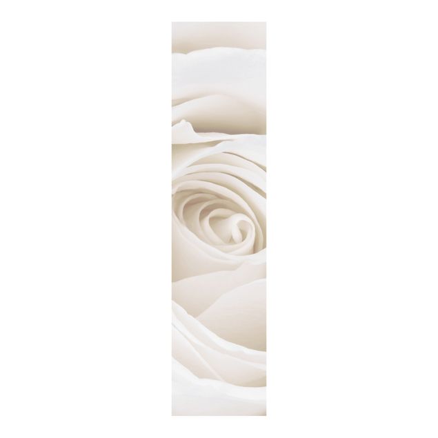 Panelgardiner blomster Pretty White Rose