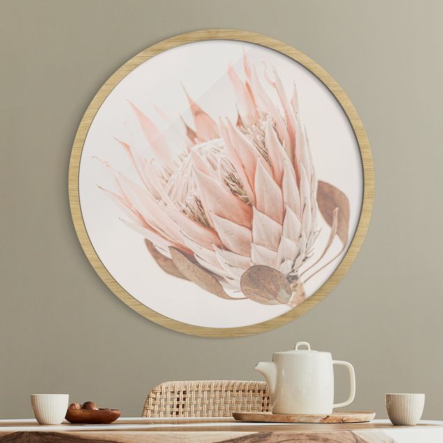 Indrammede plakater blomster Protea Queen Of Flowers