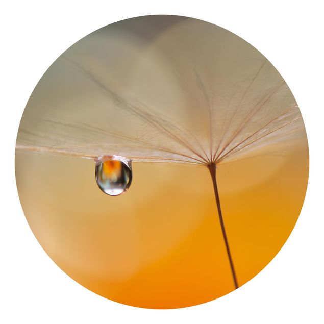 Moderne tapet Dandelion In Orange