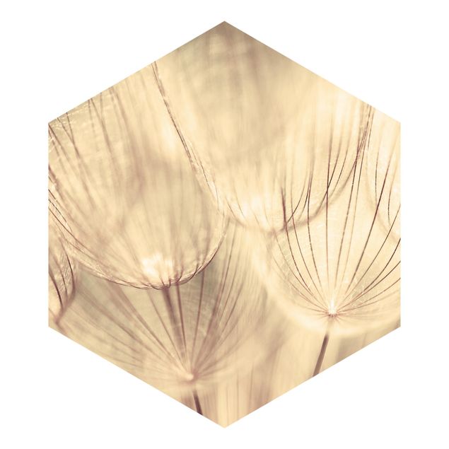 Tapet Dandelions Close-Up In Cozy Sepia Tones