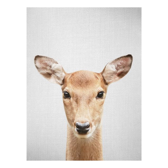 Billeder moderne Roe Deer Rita
