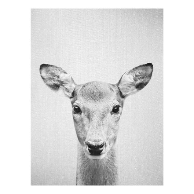 Billeder moderne Roe Deer Rita Black And White