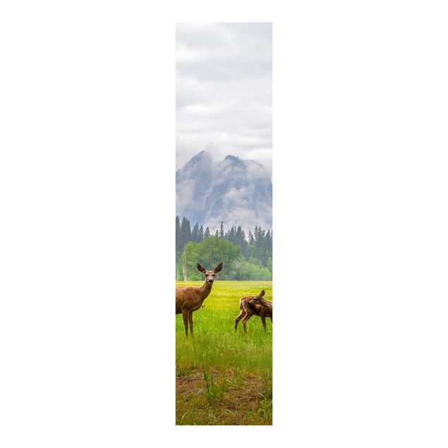 Panelgardiner landskaber Deer In The Mountains