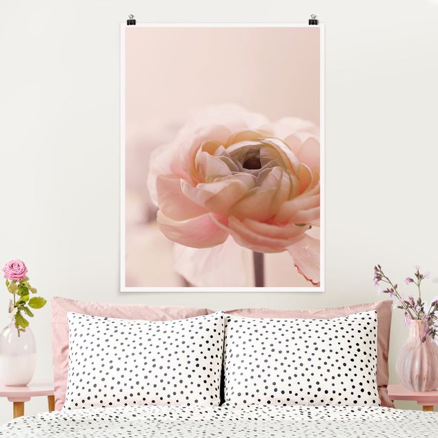 Plakater blomster Focus On Light Pink Flower