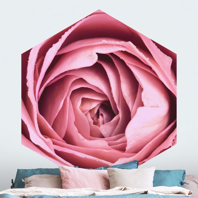 Tapet roser Pink Rose Blossom