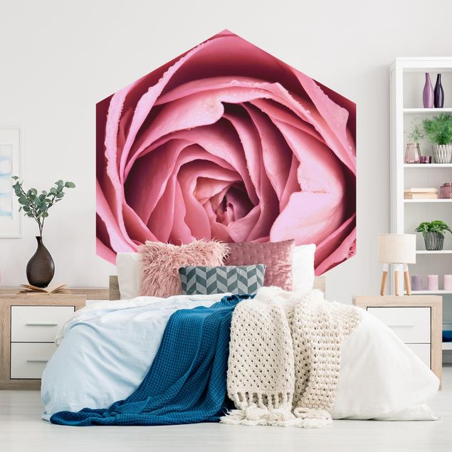 Fototapet blomster Pink Rose Blossom
