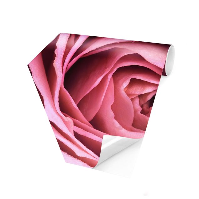 Moderne tapet Pink Rose Blossom