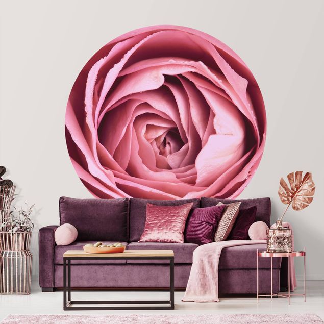 Tapet roser Pink Rose Blossom