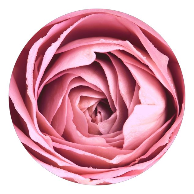 Landlig tapet Pink Rose Blossom