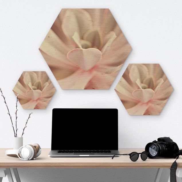 Hexagon Bild Holz - Rosane Sukkulentenblüte