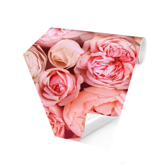 Tapet moderne Roses Rosé Coral Shabby