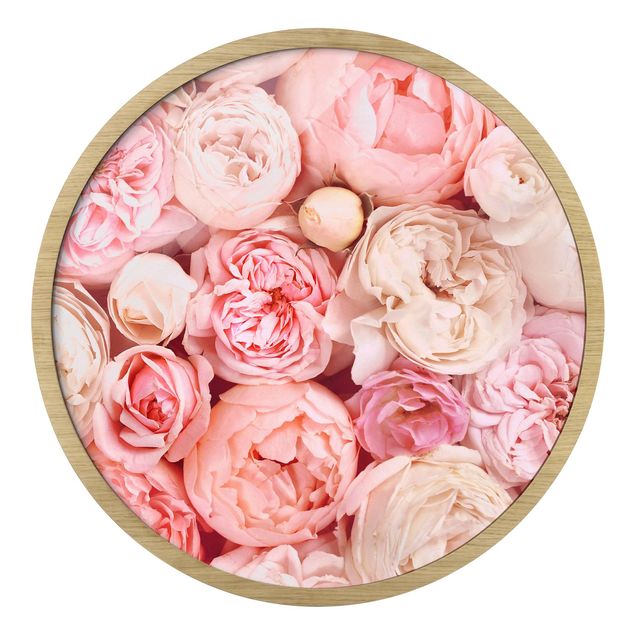 Billeder lyserød Roses Rosé Coral Shabby