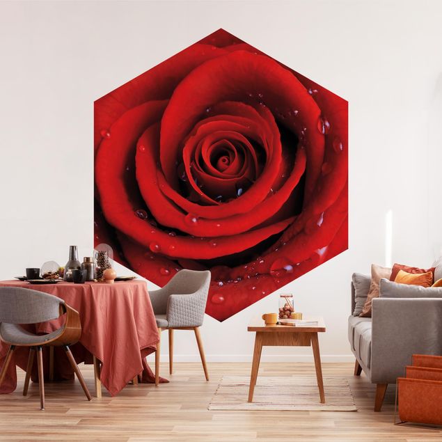 Moderne tapet Red Rose With Water Drops
