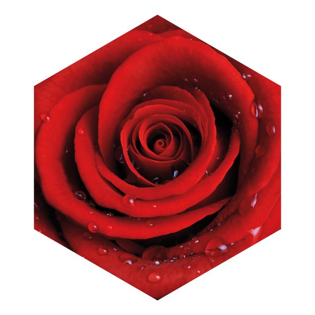 Tapet brun Red Rose With Water Drops