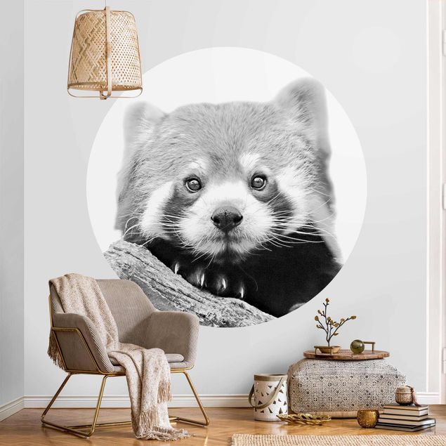 Dyre tapet Red Panda In Black And White