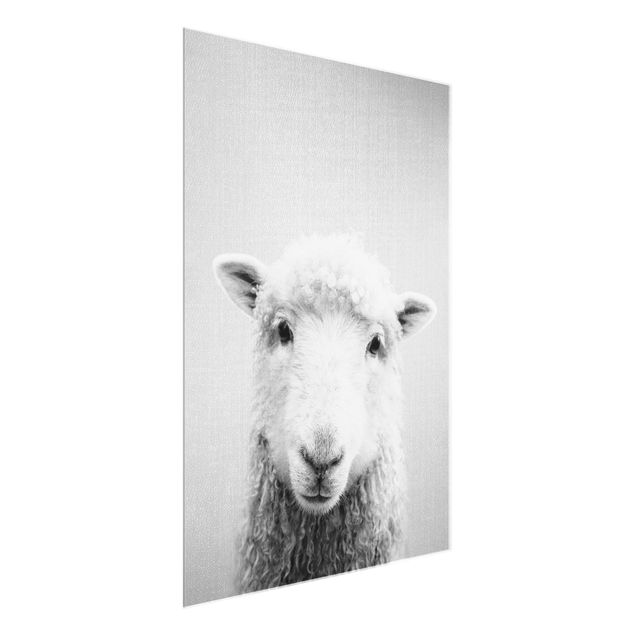 Billeder moderne Sheep Steffi Black And White