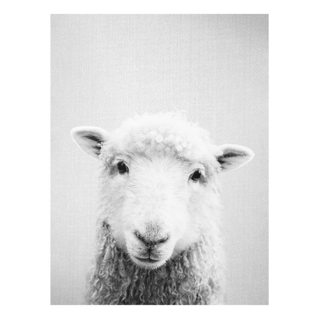 Billeder sort og hvid Sheep Steffi Black And White