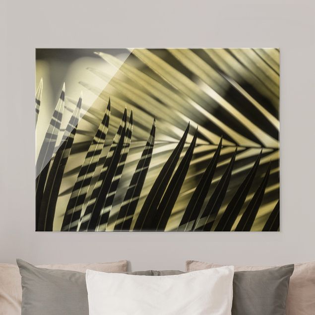 Glasbilleder landskaber Interplay Of Shaddow And Light On Palm Fronds