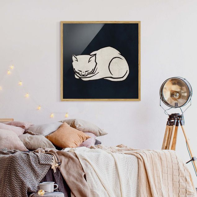 Billeder katte Sleeping Cat Illustration