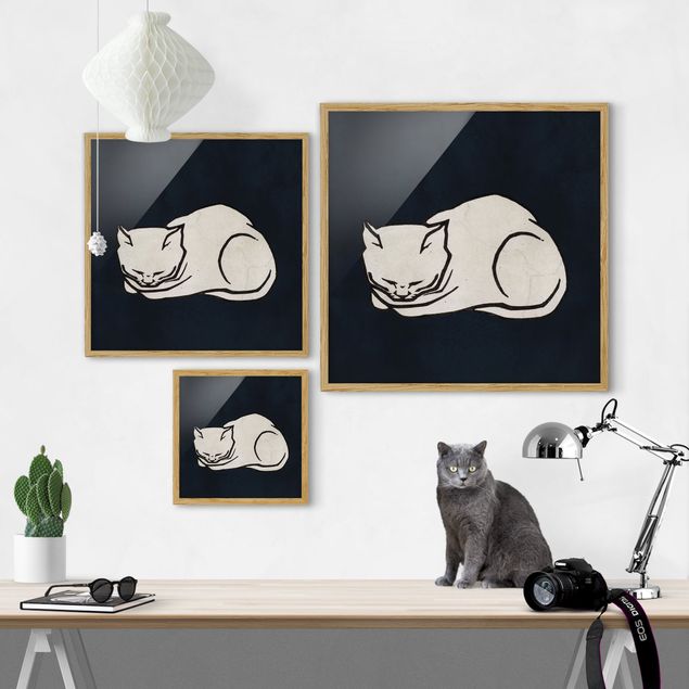 Billeder kunsttryk Sleeping Cat Illustration