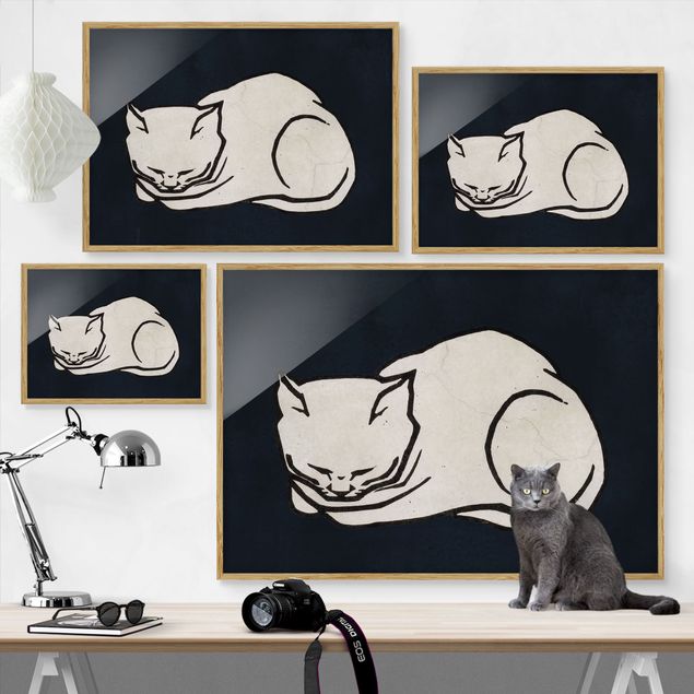 Billeder kunsttryk Sleeping Cat Illustration