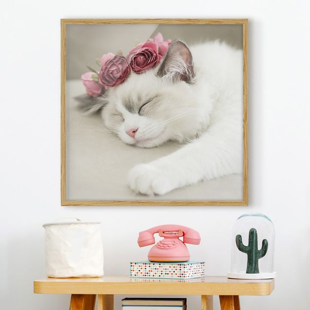 Børneværelse deco Sleeping Cat with Roses