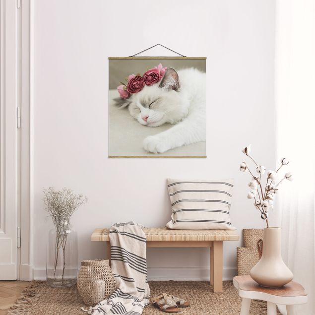 Billeder katte Sleeping Cat with Roses