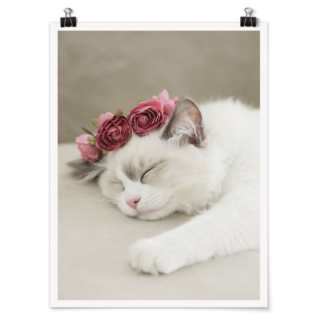 Billeder blomster Sleeping Cat with Roses