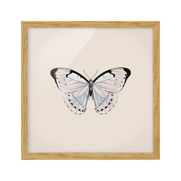 Billeder moderne Butterfly On Beige