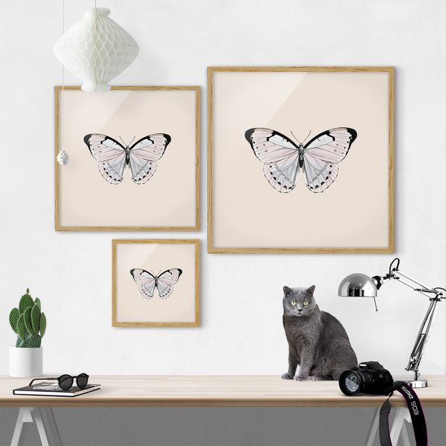 Billeder dyr Butterfly On Beige