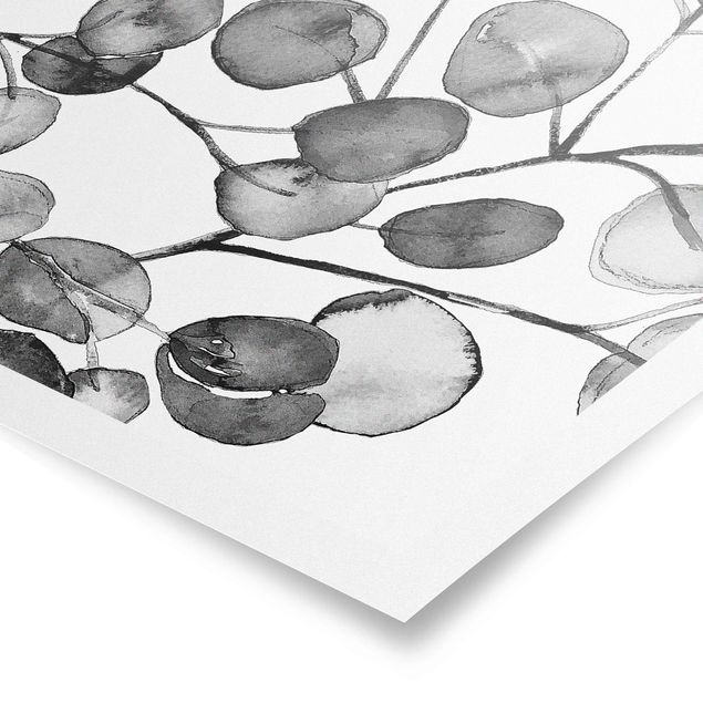 Billeder sort og hvid Black And White Eucalyptus Twig Watercolour
