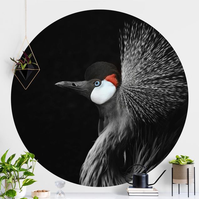 køkken dekorationer Black Crowned Crane