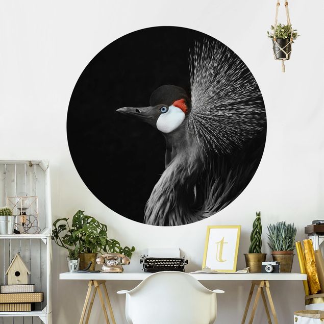Tapet moderne Black Crowned Crane