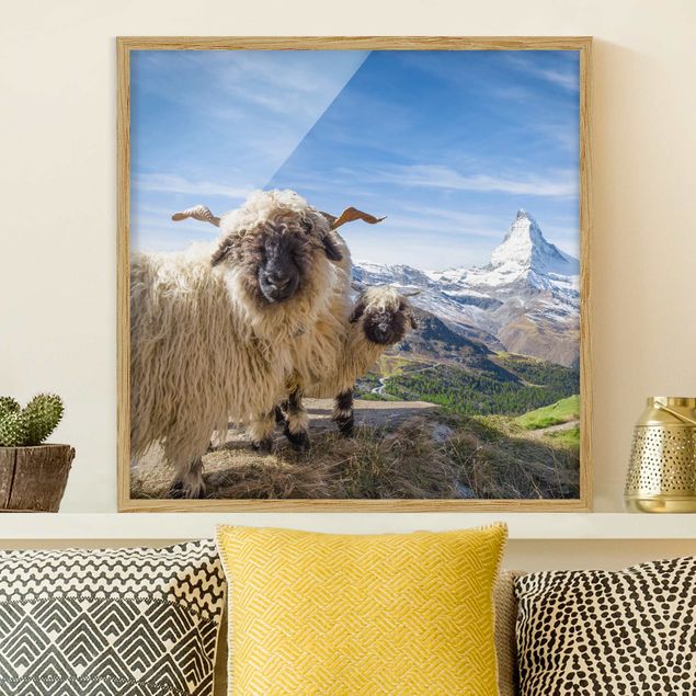 køkken dekorationer Blacknose Sheep Of Zermatt
