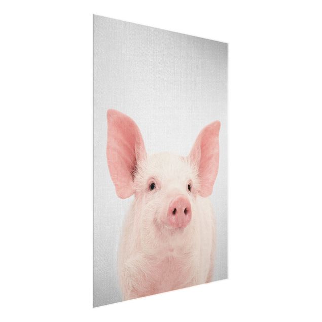 Billeder moderne Pig Shorsh