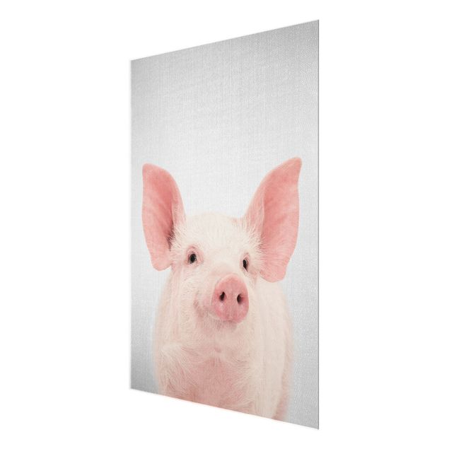 Billeder Gal Design Pig Shorsh