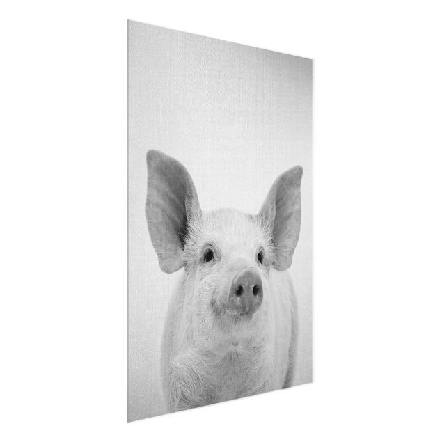 Billeder moderne Pig Shorsh Black And White