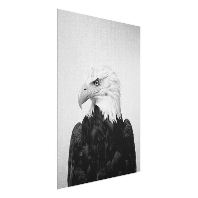 Billeder moderne Sea Eagle Socrates Black And White