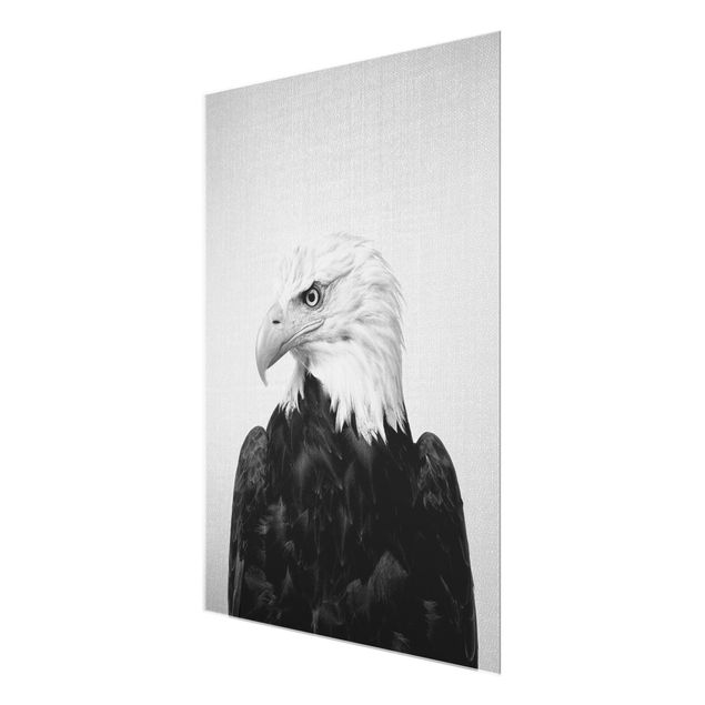 Billeder Gal Design Sea Eagle Socrates Black And White